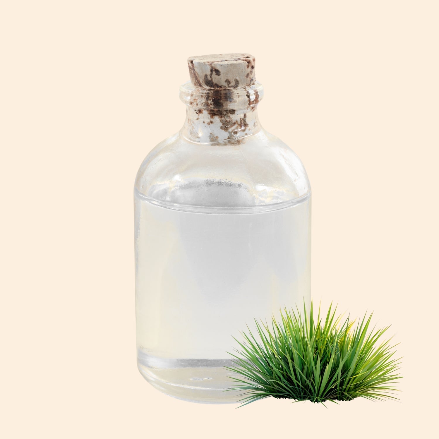 Shoprythm Hydrosols Citronella Hydrosol Shoprythm Hydrosols Citronella Hydrosol